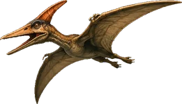 Flying Ptera